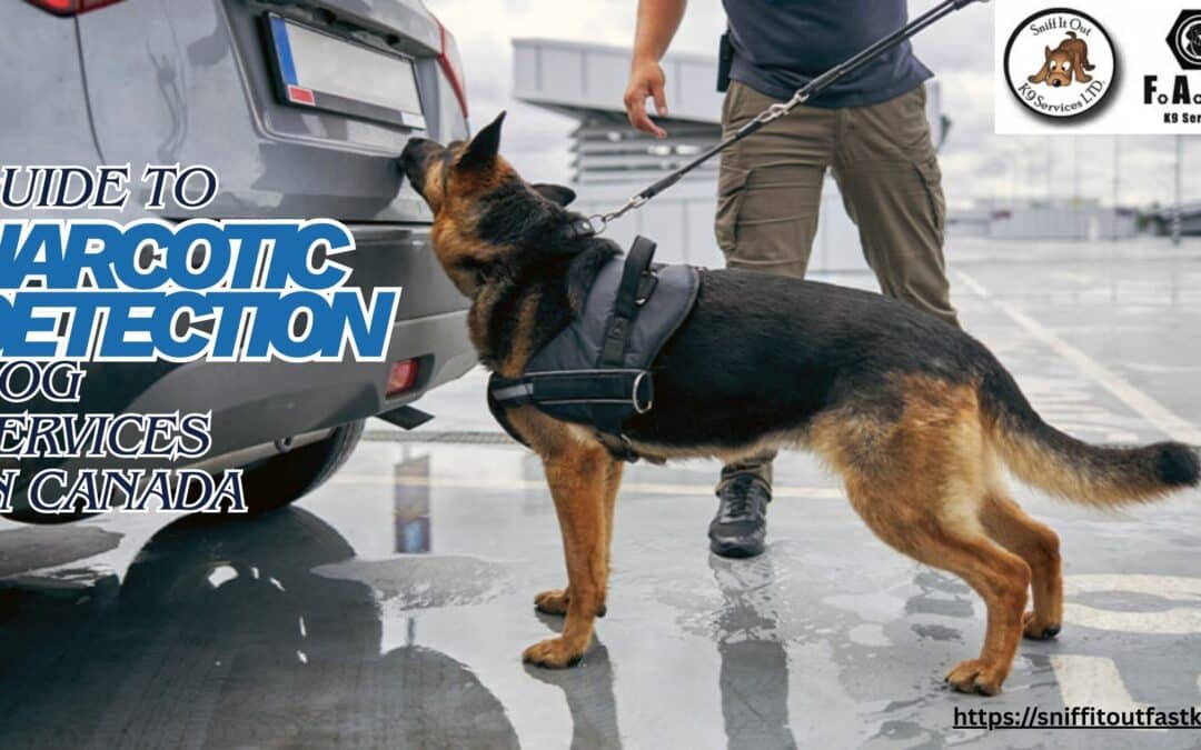 Guide to Narcotic Detection Dog Services in Canada