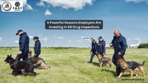 K9 Drug Inspections