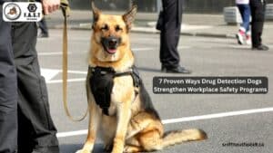Drug Detection Dogs