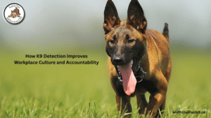 Detection Dog